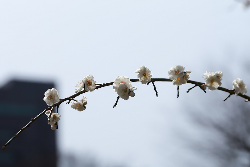 image0428