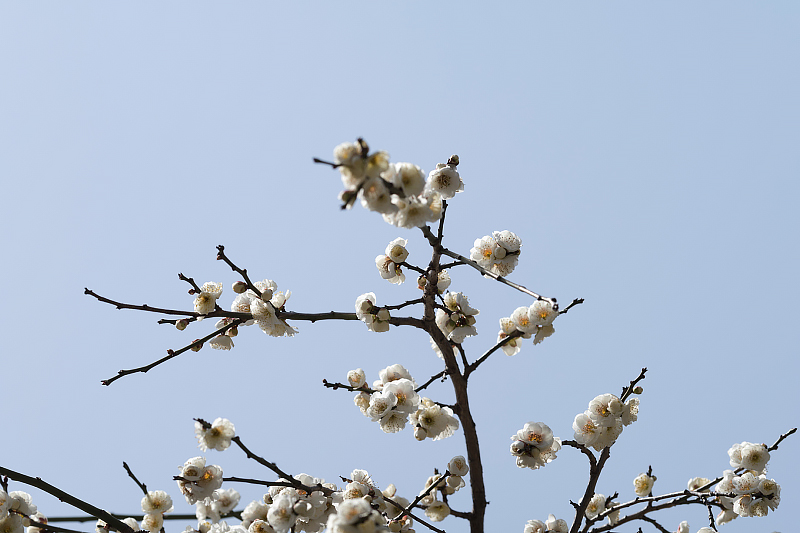 image0432