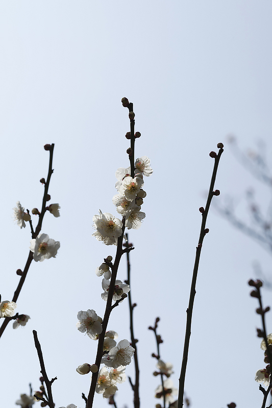 image0436