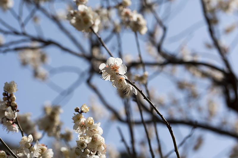 image0458