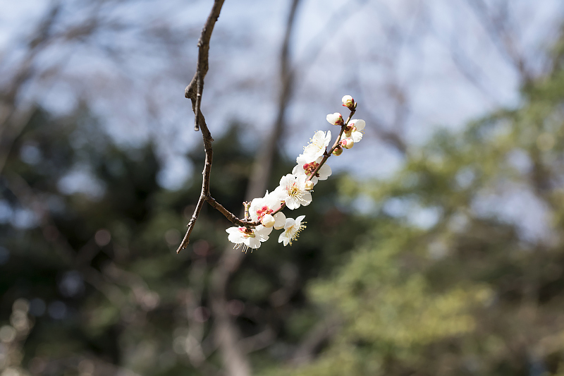 image0463