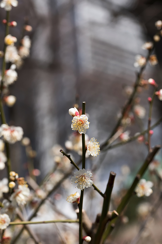 image0477