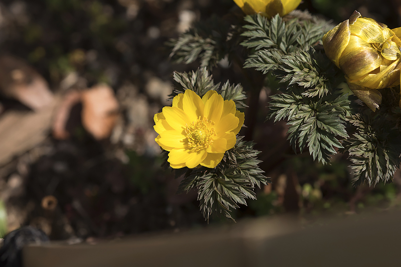 image0479