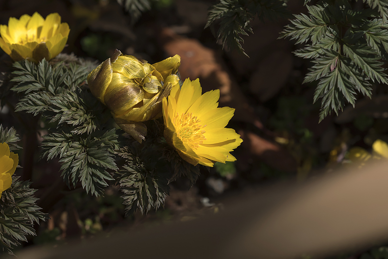 image0480