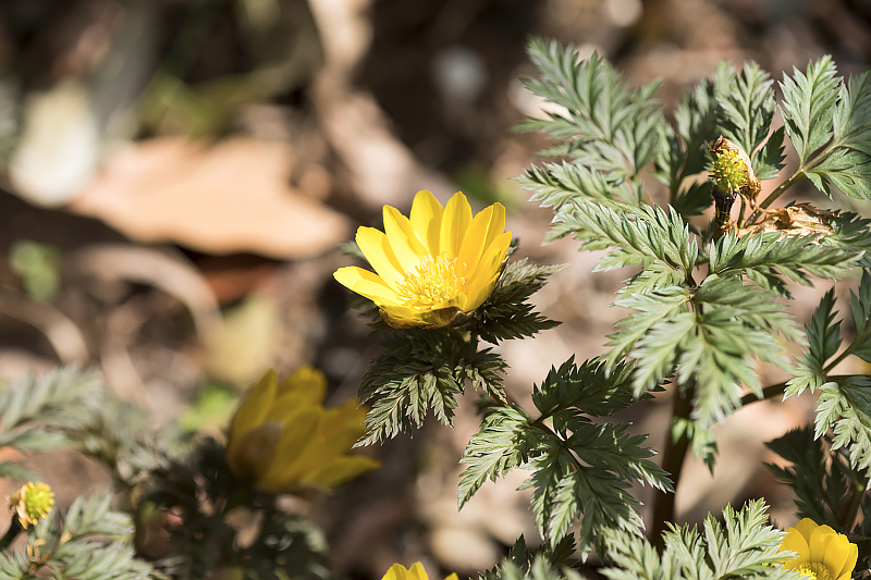 image0481