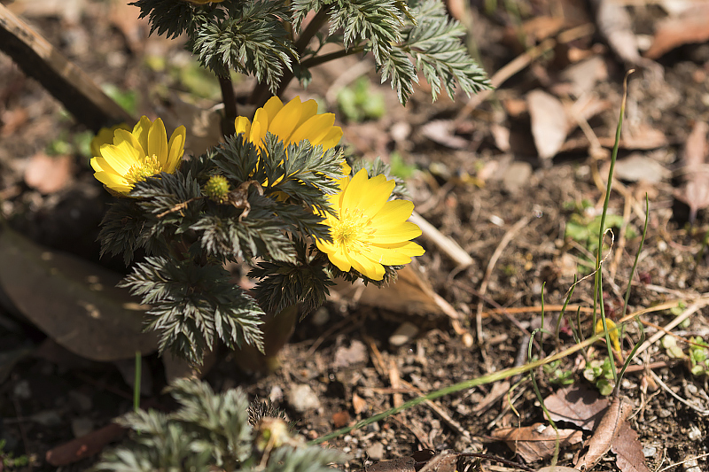 image0482