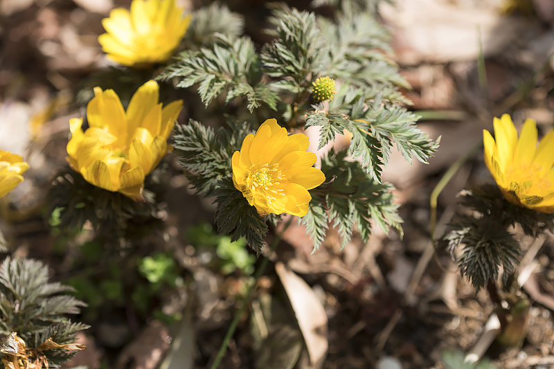 image0483