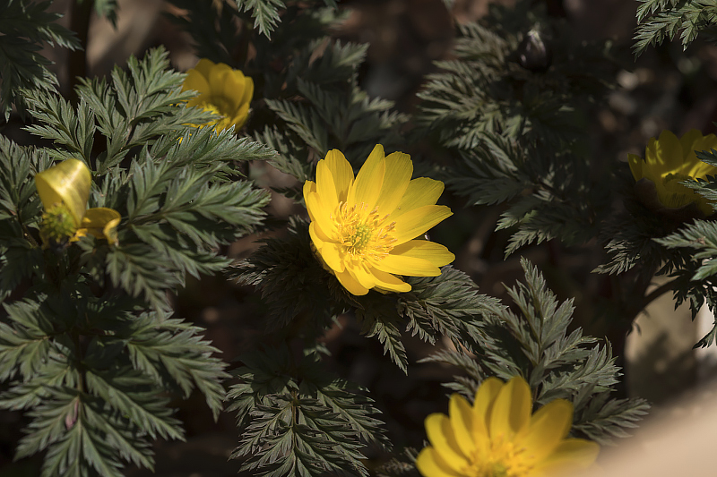 image0484