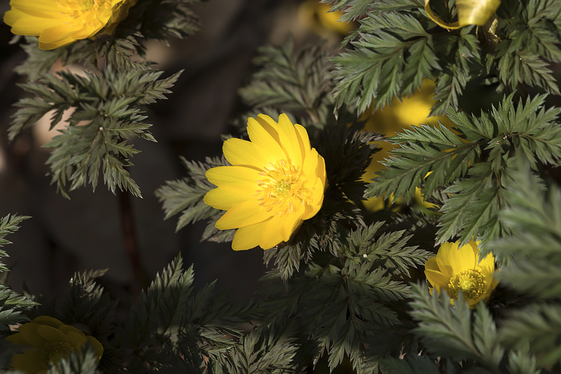image0485