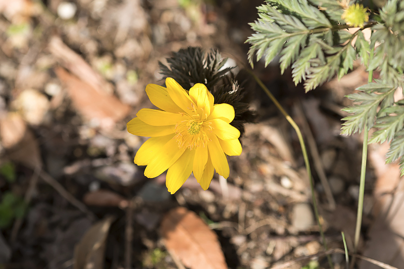 image0487