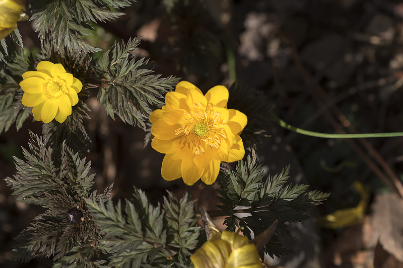 image0489