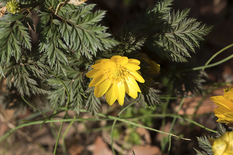 image0490