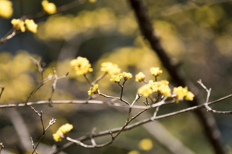 image0493