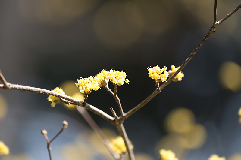 image0495
