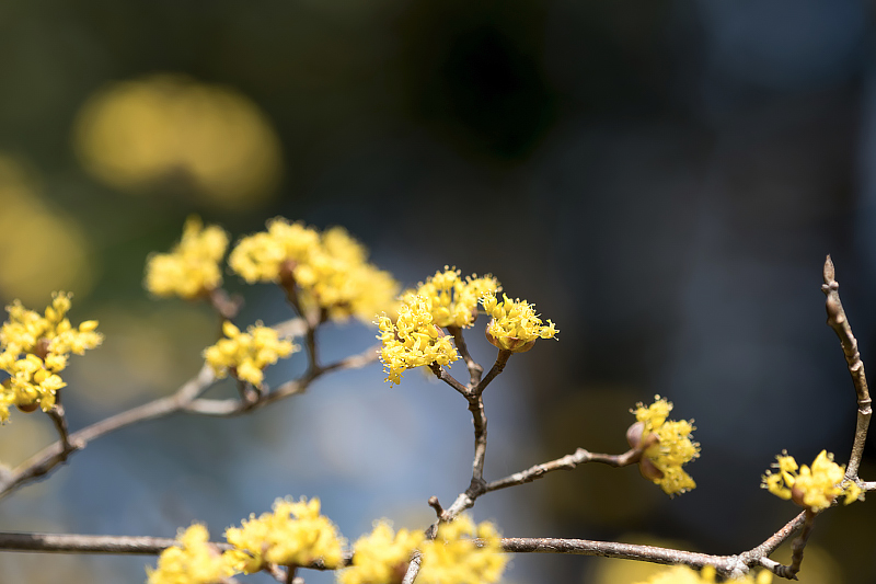 image0497