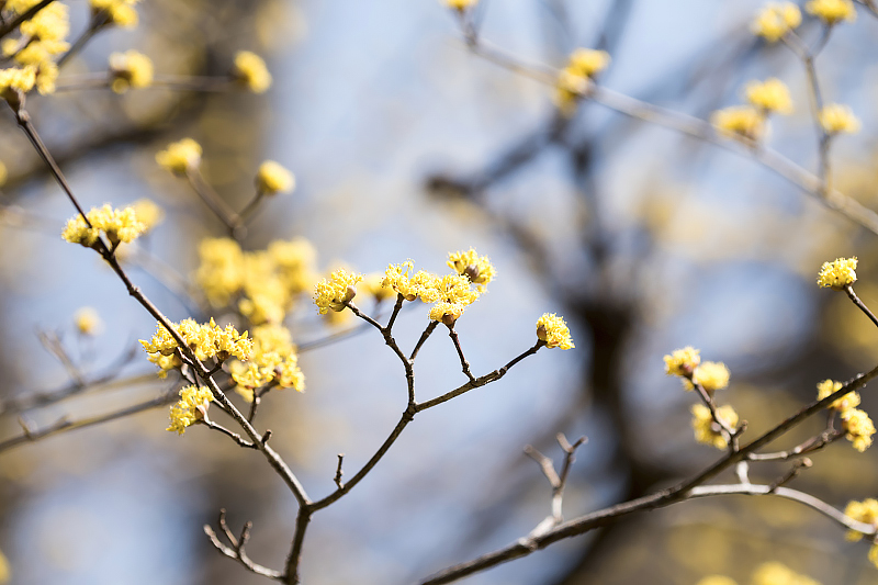 image0499