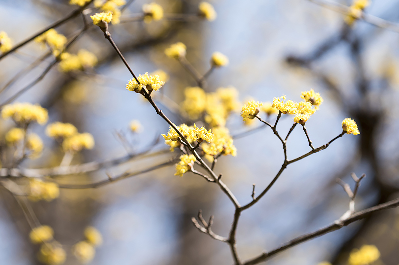 image0500