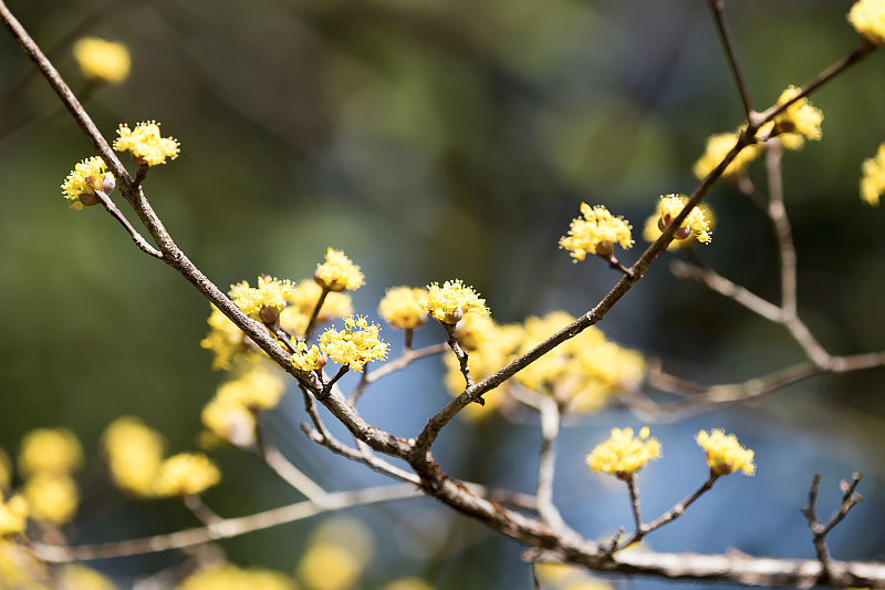 image0502