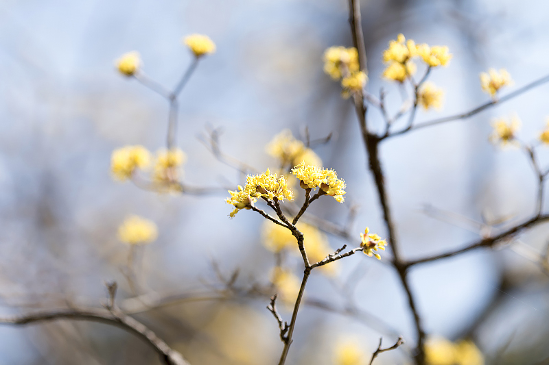 image0504