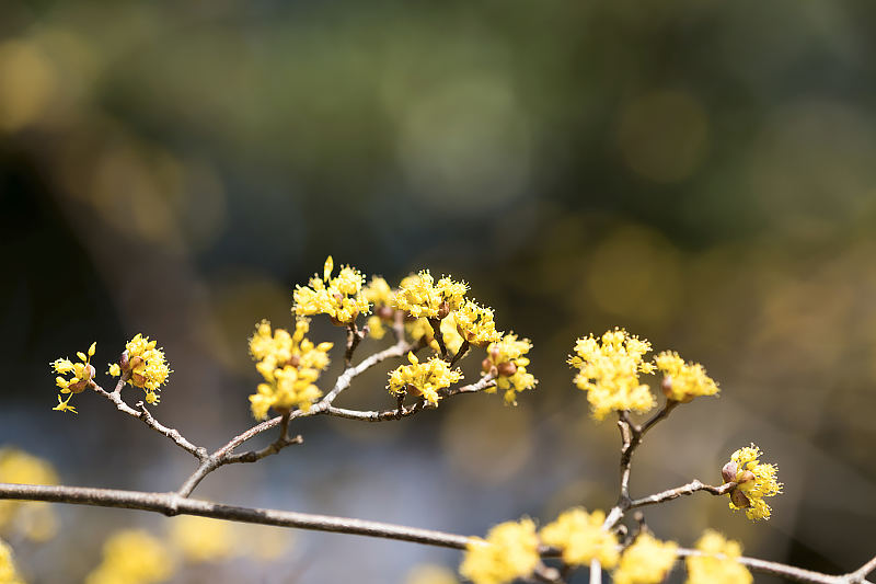 image0506