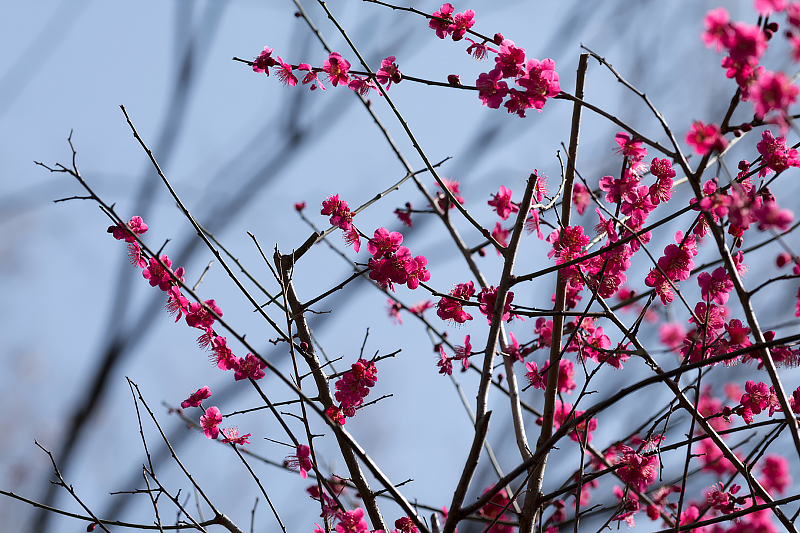 image0535