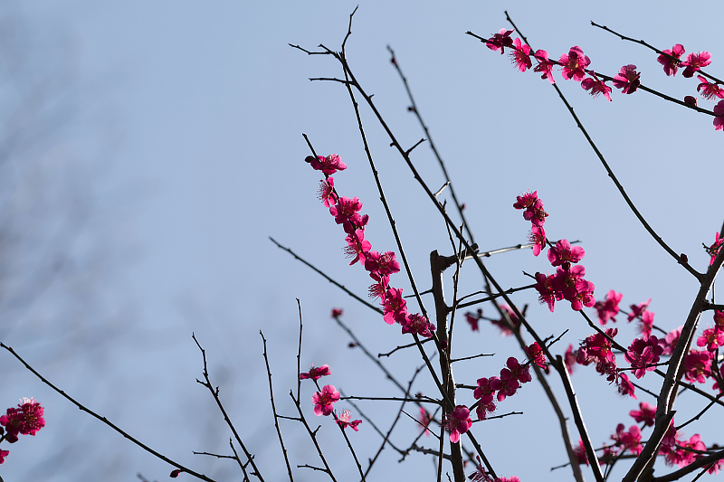 image0542