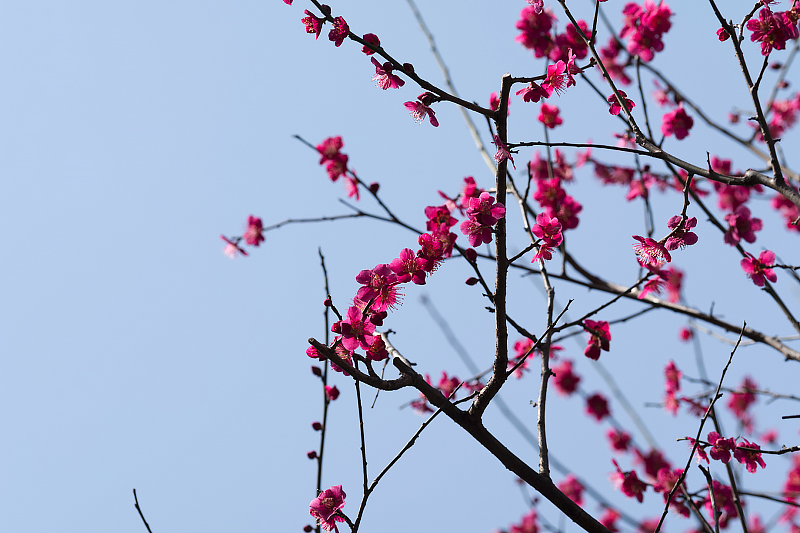 image0573