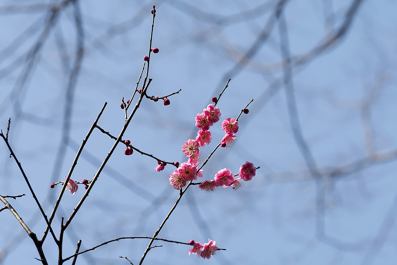 image0574