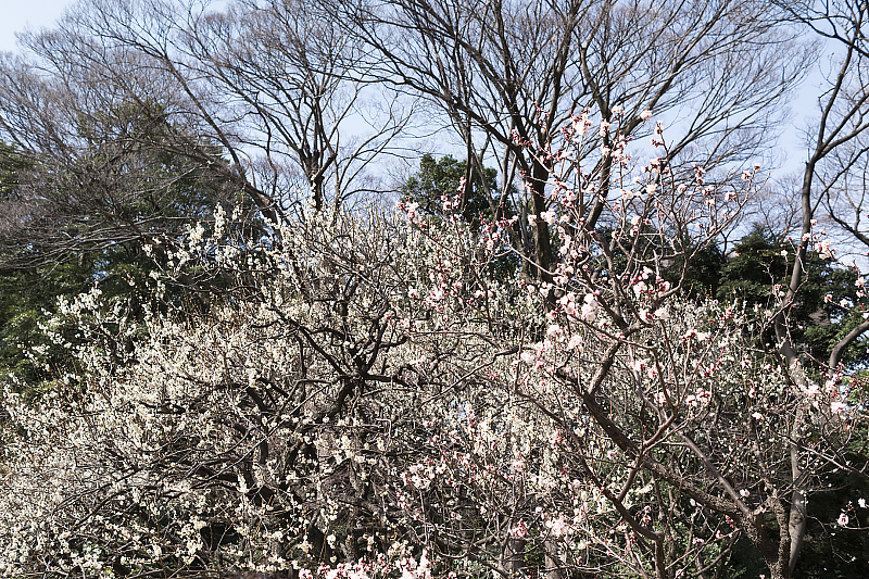 image0583
