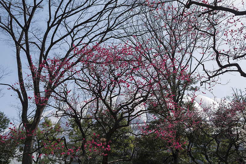 image0601