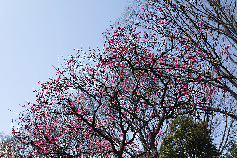 image0604