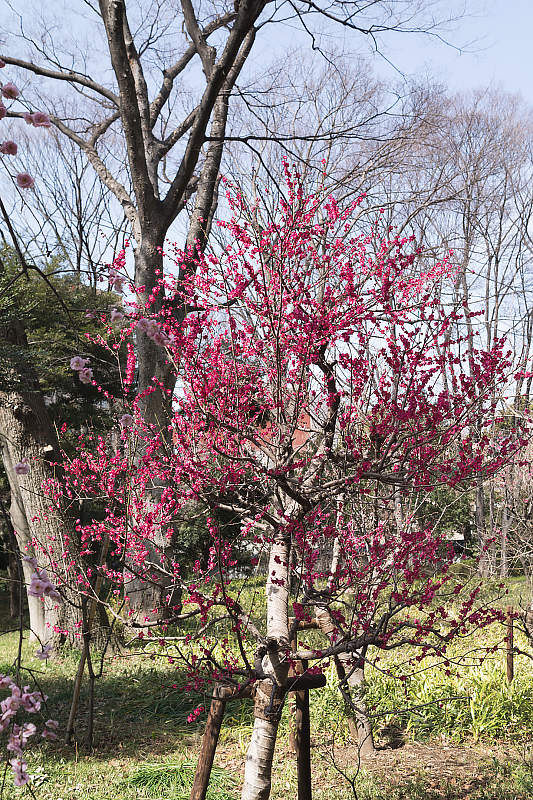 image0614