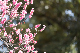 image0128