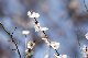 image0133