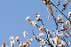 image0136
