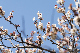 image0137