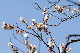 image0138