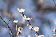 image0139