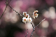 image0141