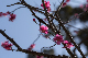 image0144