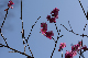 image0145