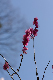 image0146