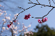 image0147