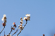 image0150
