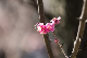 image0155
