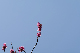 image0161