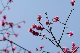 image0162