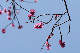 image0167