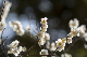 image0168