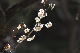 image0171